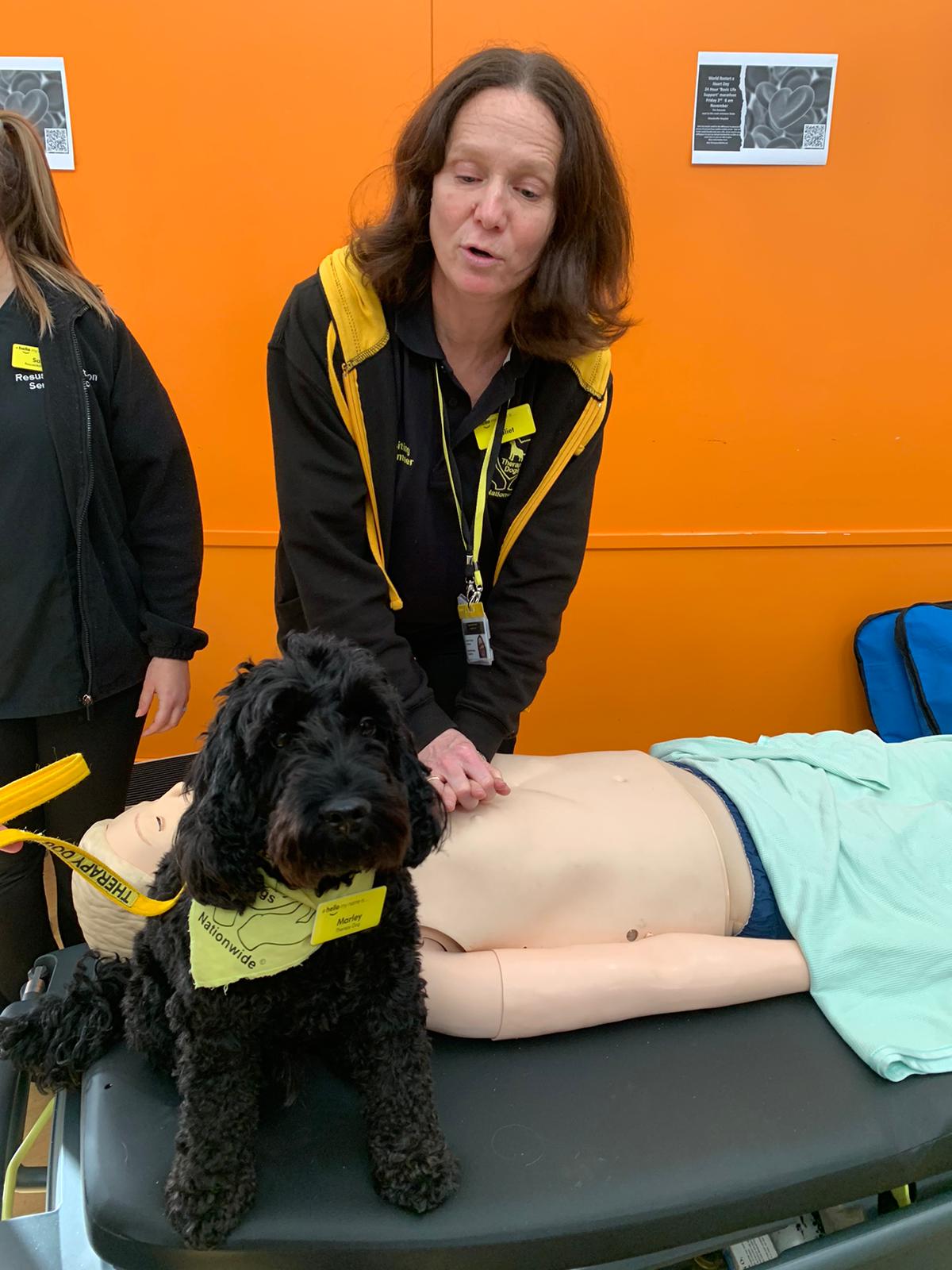 A woman gives a mannequin chest compression whilst a pets as therapy black dog sits on next to the mannequin.
