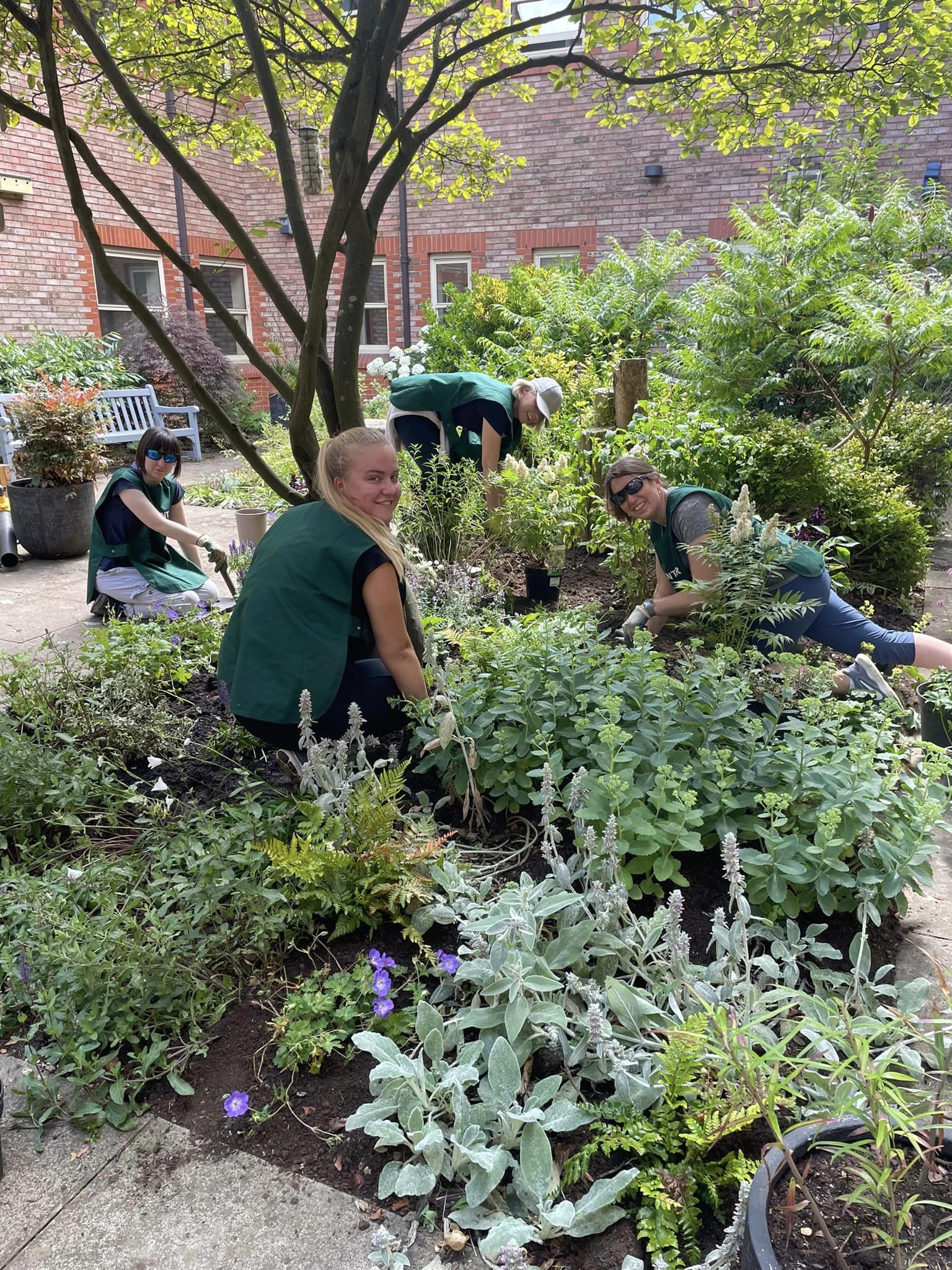Four volunteers in green tabards, amongst various plants completing assorted tasks such as weeding and pruning.