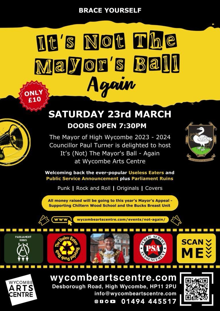 It's Not The Mayor's Ball Again Event Flyer